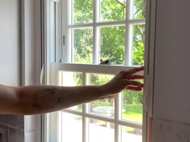 Ümitköy Kedi Sinekliği Sineklere Dayanıklı Çözüm