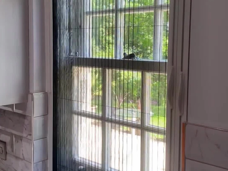 Ümitköy Kedi Sinekliği Sineksiz Günler Sizi Bekliyor