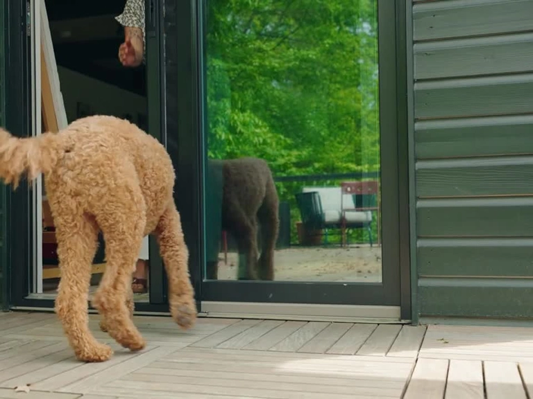 Ümitköy Sineklik Fiyatları Bütçenize Uygun Fiyatlar Kaliteli Hizmet Anlayışı
