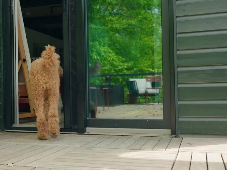 Ümitköy Sineklik Fiyatları Haşere Kaynaklı Hastalıkları Önleyerek Evde Sağlığı Koruyun